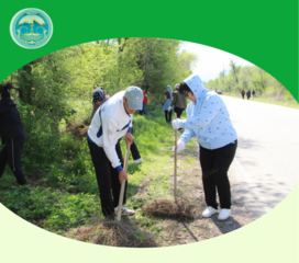 20 сентября состоится общереспубликанский субботник