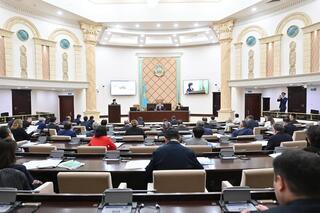 С. Жакупова проинформировала парламентариев о проводимой работе по достижению Целей устойчивого развития