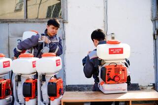 Как будут бороться с комарами и мошками в Астане