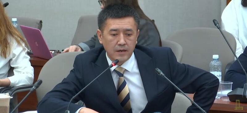 Развитие внутристрановой ценности обсудили в Мажилисе
