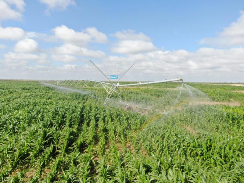 Заместитель Премьер-министра ознакомился с состоянием агросектора в Казалинском районе