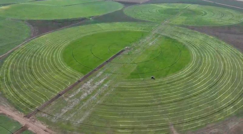 В Карагандинской области локализуют производство дождевальных машин Valley