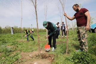 Алматы готовится к 80-летию Победы: масштабная экоакция охватит весь город