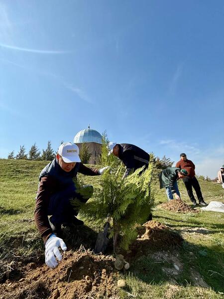 «Таза Қазақстан»: в Жамбылской области высадили свыше 9 тысяч деревьев