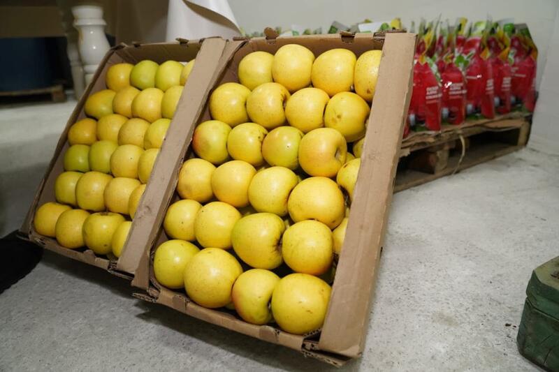 Завод по глубокой переработке фруктов и ягод запустили в Туркестанской области