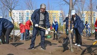 Президент Касым-Жомарт Токаев дал ряд поручений акимам областей и городов по благоустройству и озеленению территорий.