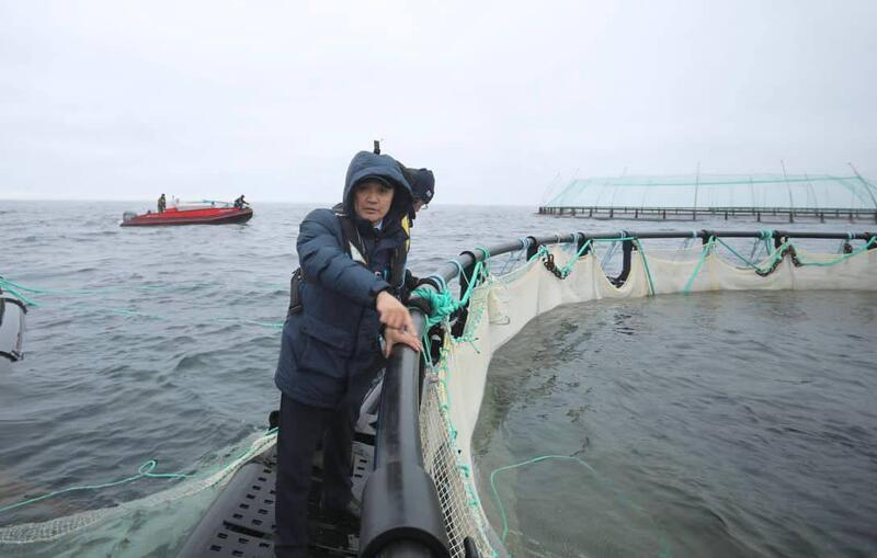 В Мангистау реализуется первый в Центральной Азии проект морской аквакультуры