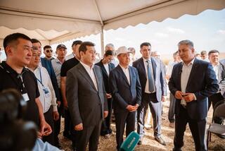 Айдарбек Сапаров: Развитие животноводства — важный резерв повышения эффективности АПК