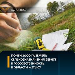 Почти 3000 га земель сельхозназначения вернут в госсобственность в области Жетысу