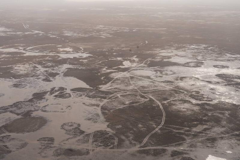 Исследования и озеленение: в Атырау разрабатывают меры по борьбе с пыльными бурями