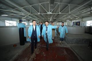 В Мангистау реализуется стратегический инновационный проект по развитию рыбного хозяйства