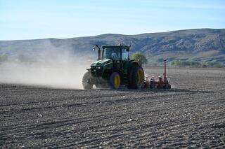 В Талдыкоргане увеличены площади посевов сахарной свёклы