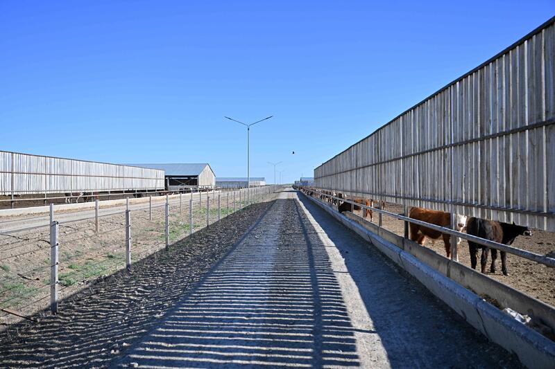 Аким области посетил агропромышленный комплекс «Елим-ай Кокпекты»