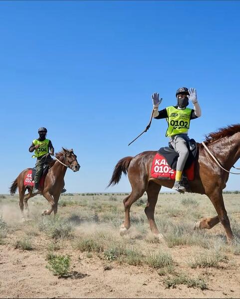 «Ұлы дала жорығы-2025»: победу одержали лошади костанайской породы из Астаны