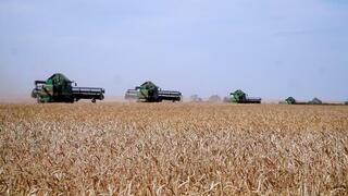 За 7 лет объем сельхозпроизводства в Казахстане вырос почти вдвое