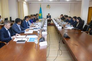 С начала прямых выборов избрано почти 3 тысячи сельских акимов - итоги заседания Общественного совета при МНЭ