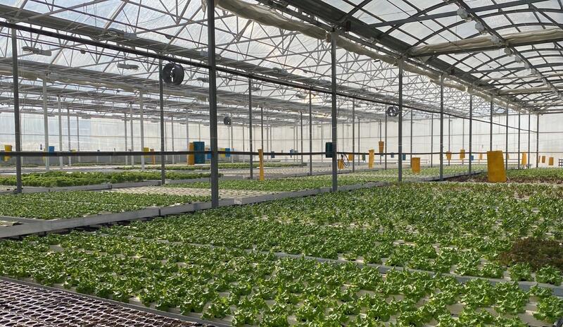 В Жетісу объем переработки производимой в регионе продукции достиг 68%