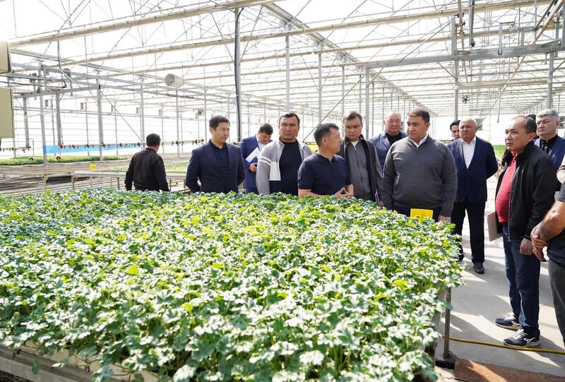 В ТУРКЕСТАНСКОЙ ОБЛАСТИ ВНЕДРЯЮТСЯ ЭКОЛОГИЧЕСКИ ЭФФЕКТИВНЫЕ СПОСОБЫ ОТОПЛЕНИЯ ТЕПЛИЦ