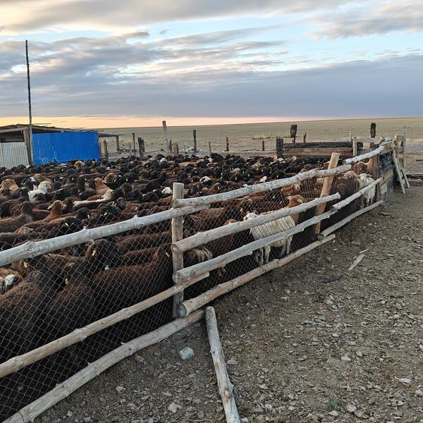 В Аксуатском районе ведется строительство нескольких объектов предпринимательства