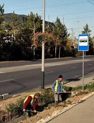 В Наурызбайском районе Алматы реализуется проект по комплексному благоустройству буферных зон