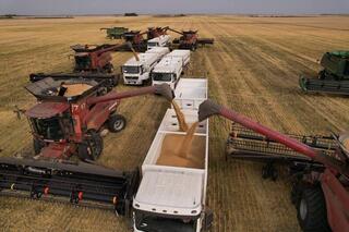 В рамках рабочей поездки аким области Гауез Нурмухамбетов посетил район М. Жумабаева, где ознакомился с ходом уборочной кампании