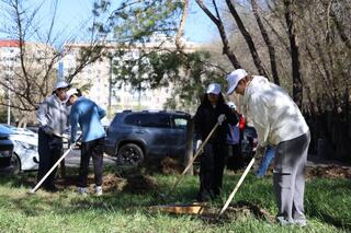 В Астане продолжается «Таза Қазақстан»: творческие коллективы присоединились к экоакции