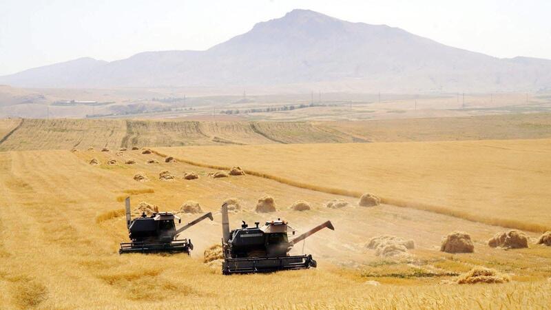 В ТУРКЕСТАНСКОЙ ОБЛАСТИ АКТИВНО ВЕДЕТСЯ ВЕСЕННЯЯ ПОСЕВНАЯ КАМПАНИЯ