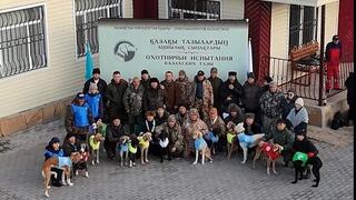 Тазы по кличке Сұңқар стал лучшим на испытаниях в Осакаровском районе