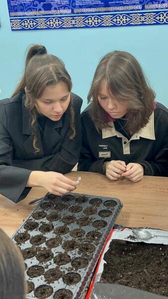 В Алтае ВКО прошёл круглый стол «Чистота природы - будущее страны»