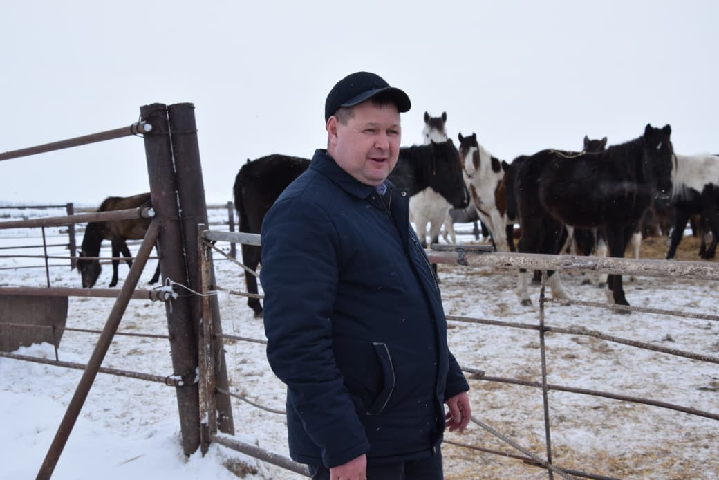 В ТОО «Агро LAKE» из Сандыктауского района развивается животноводство