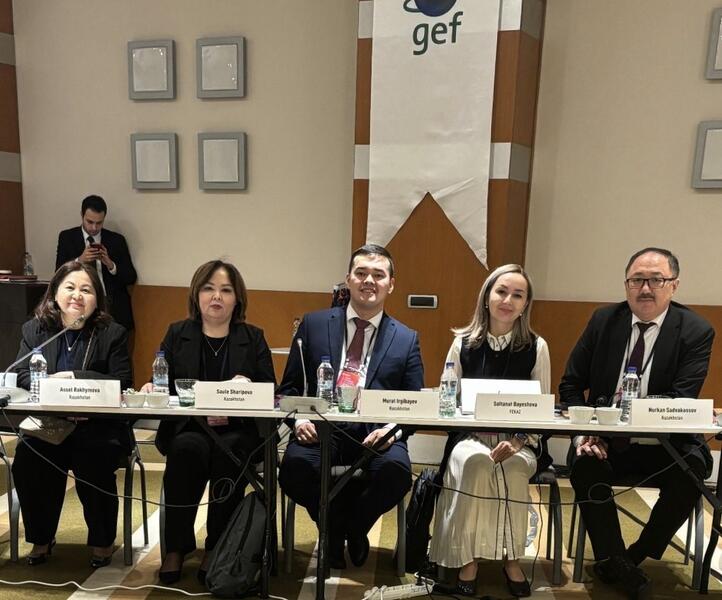 Казахстан и ФАО обсудили вопросы воздействия пестицидов на здоровье