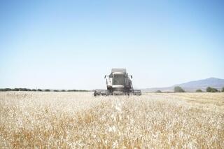 В области Жетісу продолжается осенняя уборочная кампания