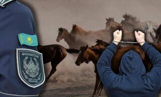 Доверие, обернувшееся преступлением: раскрыта кража скота на 46 млн тенге