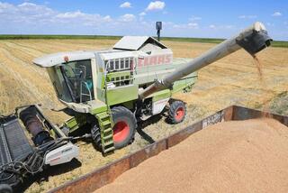 Казахстан экспортировал 1,6 млн тонн зерна нового урожая