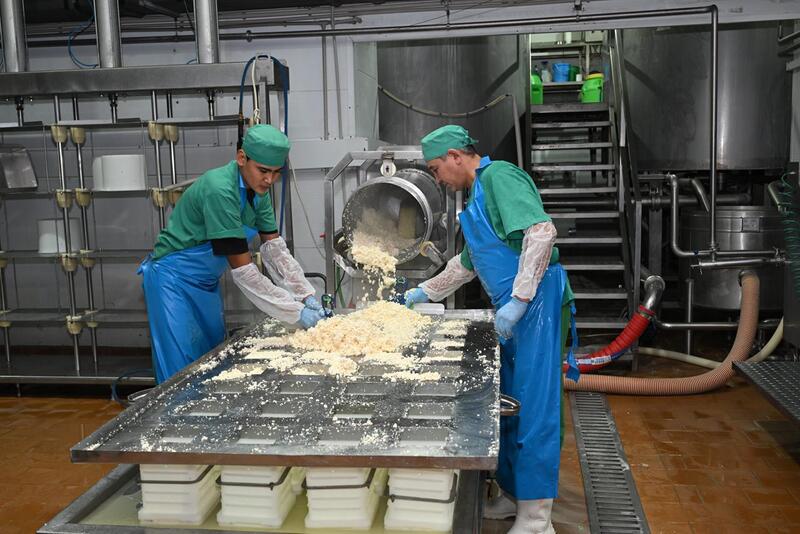 Аким Алматы в ходе рабочего объезда посетил объекты Жетысуского района