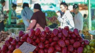 Аграрии Абайской и Кызылординской областей представят свою продукцию на ярмарке в Астане