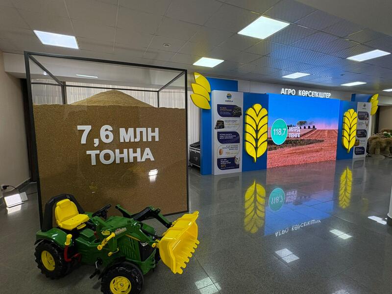 Лучшие предприниматели Акмолинской области представили продукцию на выставке, посвященной Дню сельхозработников