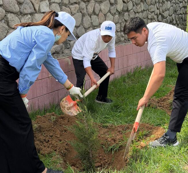 В ТУРКЕСТАНСКОЙ ОБЛАСТИ В РАМКАХ ПРОЕКТА