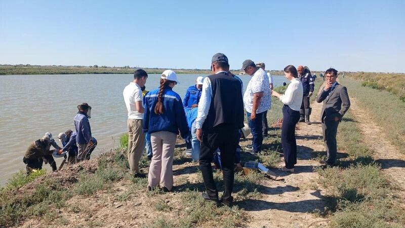 Более 1 млн штук молоди осетровых видов рыб выпустили в реку Жайык