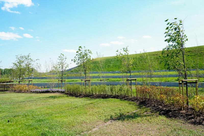 Каждому новорожденному - по дереву: необычную экоакцию провели в Астане