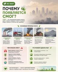 ЭКОФАКТ | Почему появляется смог?