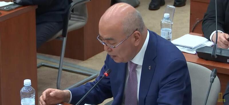 Развитие внутристрановой ценности обсудили в Мажилисе