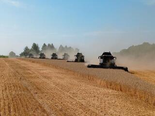 Уборочная кампания-2025 в ВКО: стабильный урожай и поддержка аграриев