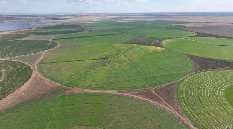 В Карагандинской области локализуют производство дождевальных машин Valley