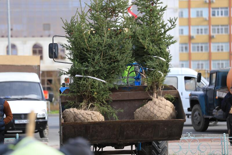 В рамках акции «Таза Казахстан» в Актюбинской области было высажено около 7300 саженцев