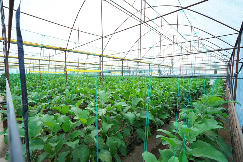 В РАЙОНАХ И ГОРОДАХ ТУРКЕСТАНСКОЙ ОБЛАСТИ СОЗДАЮТСЯ МАЛЫЕ ПРОИЗВОДСТВЕННЫЕ ПАРКИ И ПЛОЩАДКИ С НОВЫМИ РАБОЧИМИ МЕСТАМИ