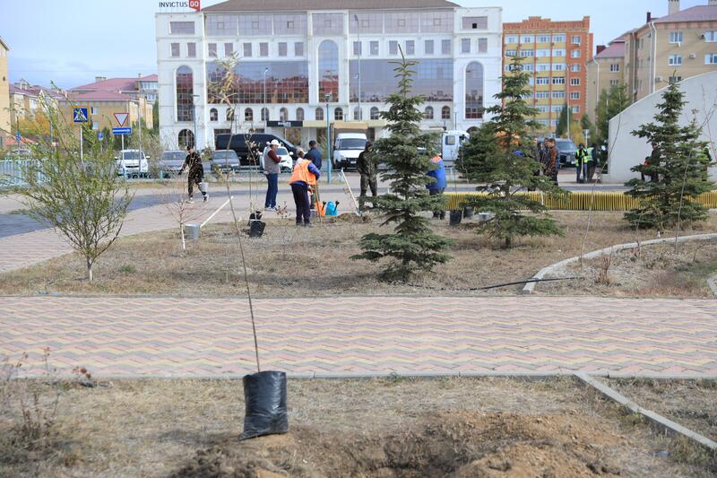 В рамках акции «Таза Казахстан» в Актюбинской области было высажено около 7300 саженцев