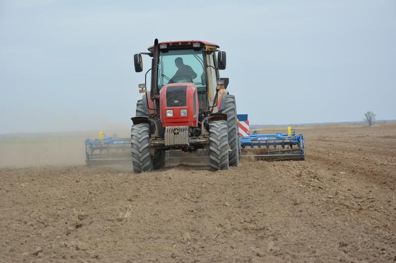 В Жамбылской области в 2026 году сельхозкультуры разместят на площади 665,4 тыс. гектаров