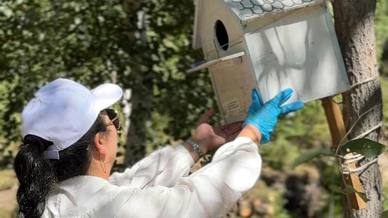 В рамках программы «Таза Қазақстан» в области Улытау прошли экологические мероприятия