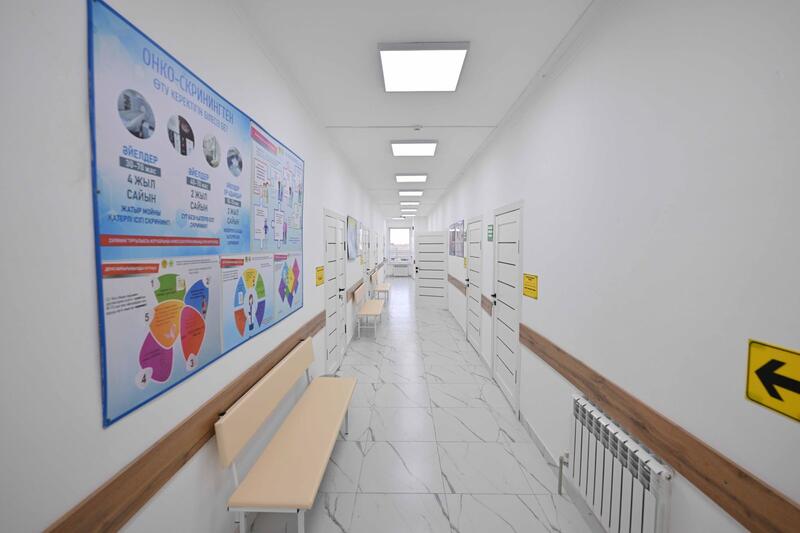 Аким области ознакомился с работой врачебной амбулатории села Саржал